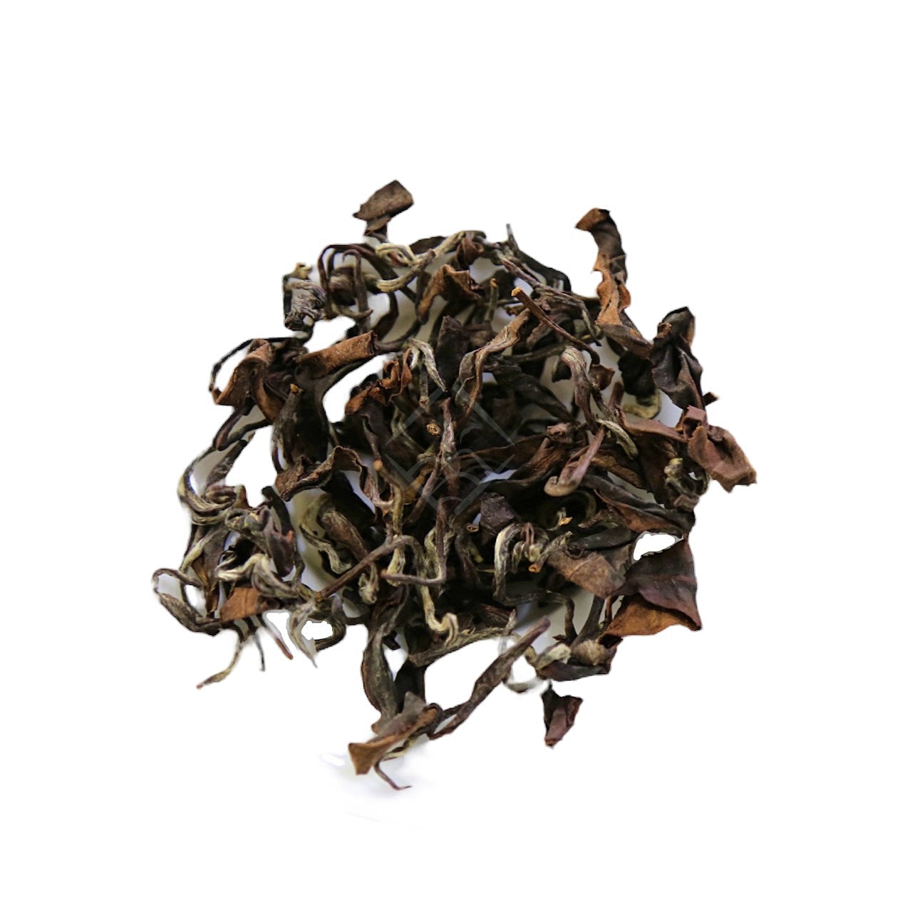 Lady Tea Classic