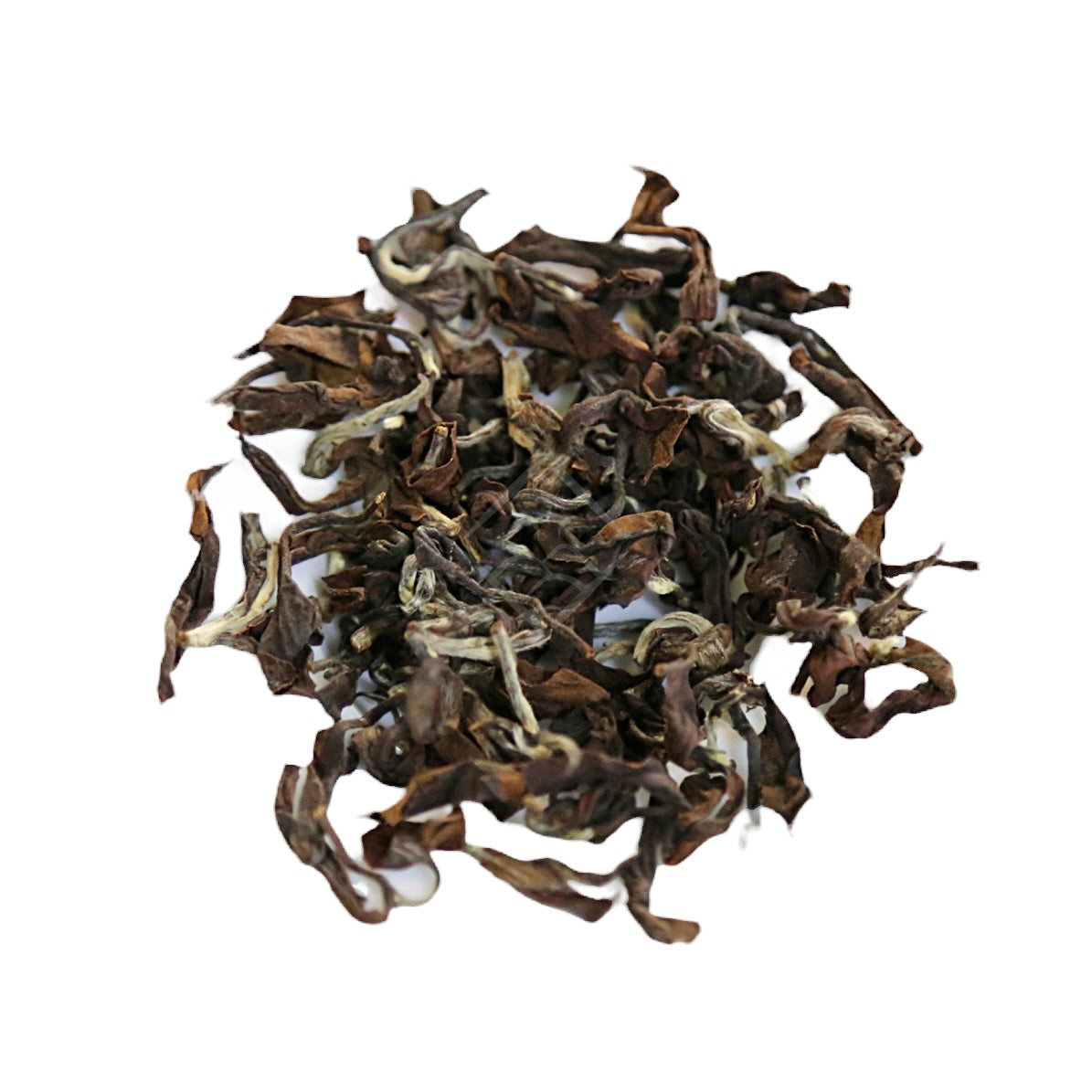 Lady Tea Elite 菁英美人