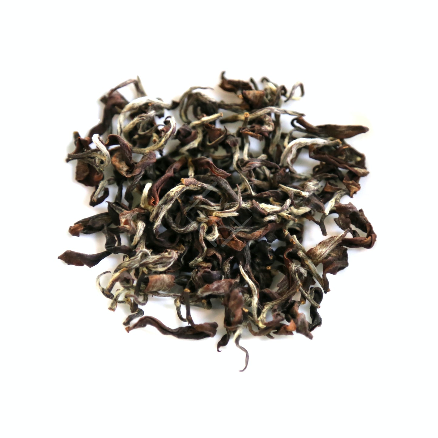 Lady Tea Princess