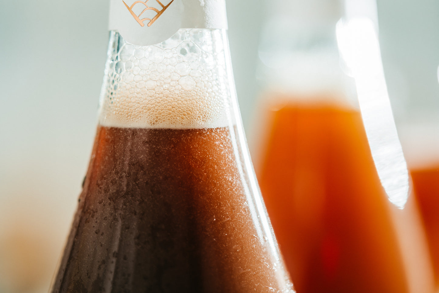 Early Summer Duo | Oriental Beauty Sparkling Tea & Oriental Beauty Kombucha